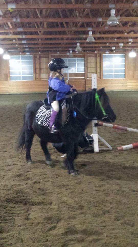 Pony & Mini Tack Northwest tack consignment LLC