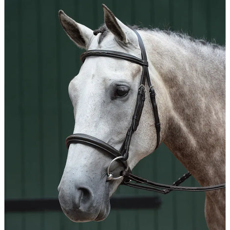 New and used tack at great prices! – Northwest tack consignment LLC