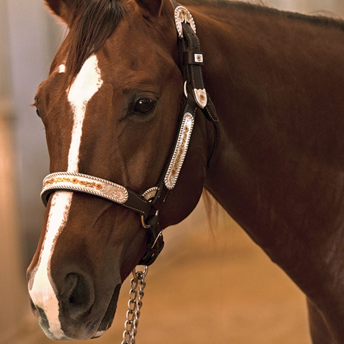Halters – Northwest tack consignment LLC