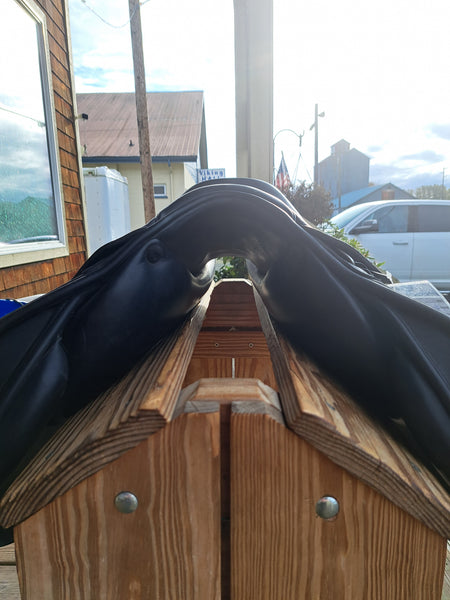 17" ErrePlus GDA Jumping Saddle