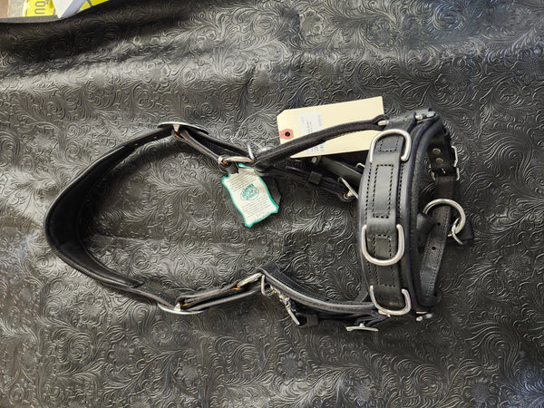 Royal Legacy Halter bridle / lunge cavason