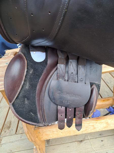 16.5" Collegiate Honour Close Contact Jump Saddle