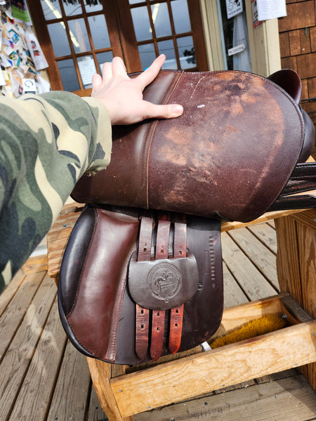 17" Collegiate Dignitary All Purpose Saddle