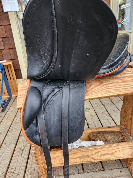 15.5" Passier Young Champ Dressage Saddle