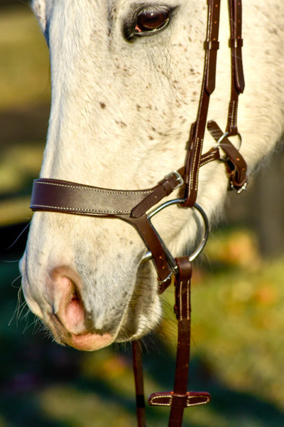 Auven Equestrian Othello Bridle w/ Reins COB