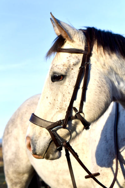 Auven Equestrian Othello Bridle w/ Reins COB