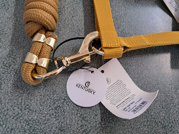 New Kentucky Equine Halter & Lead