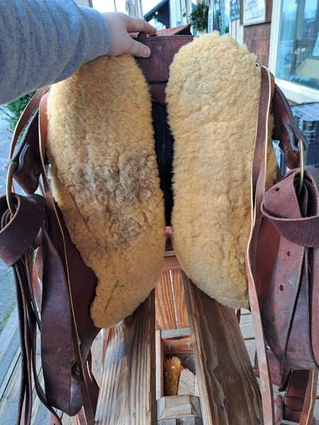 15.5" Synergist Trailwestern Saddle