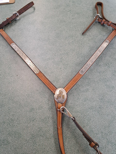 Beast Collar With Silver