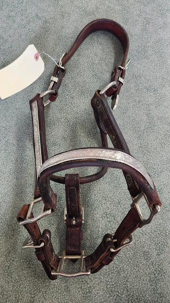 Champion Turf Show Halter