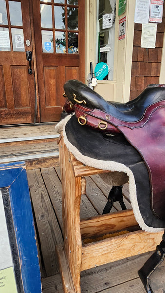 16" Ortho-Flex Endurance Saddle w/ Skito Booties