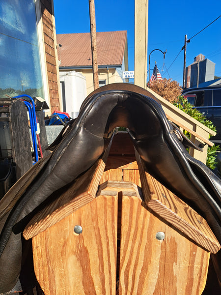 17" Kieffer Wien DL Dressage