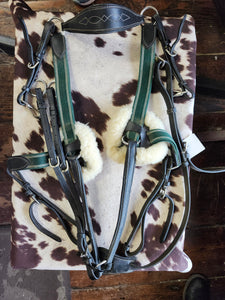 Full Exion 5 Point Breastplate w/ Martingale