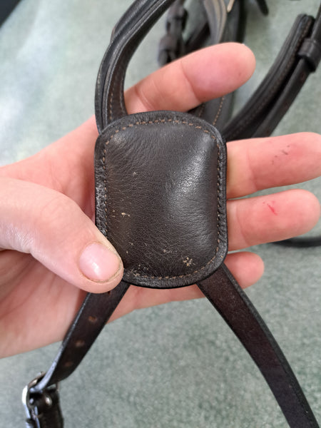 Vespucci Figure 8 Bridle