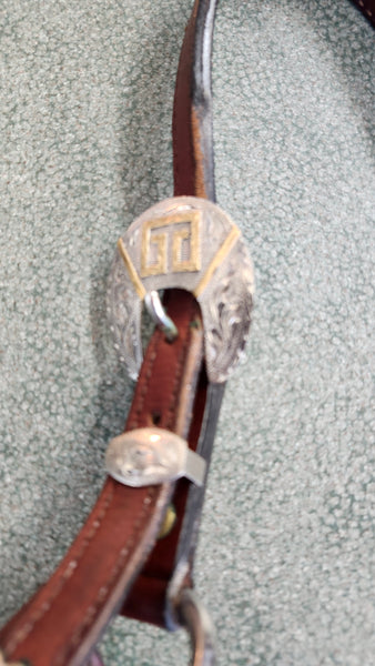 Dale Chavez Show Halter