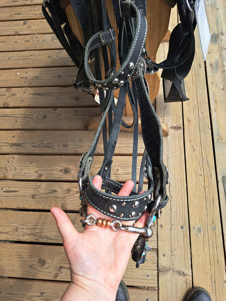17" Friesian Marketplace Endurance Saddle