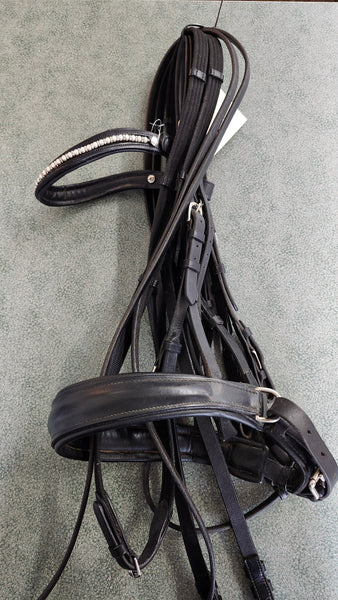 Vespucci Double Bridle