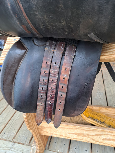 16.5" Collegiate All Purpose Saddle