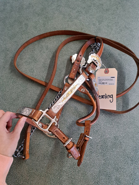 Weanling Broken Horn Show Halter