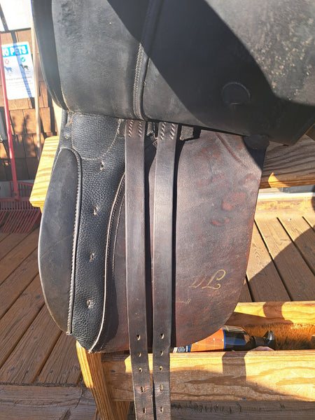 17" Kieffer Wien DL Dressage
