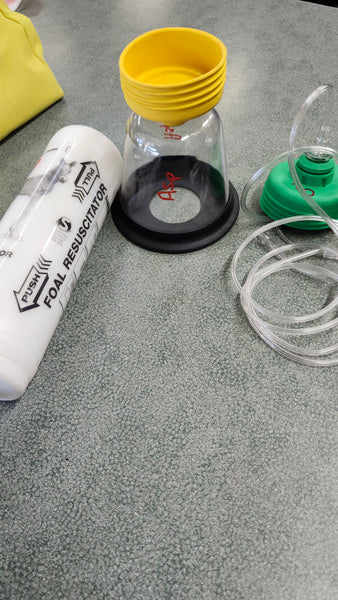 Mcculloch Foal Reuscitation Kit