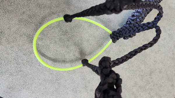 Custom Halter W/ Lariat Noseband - Black
