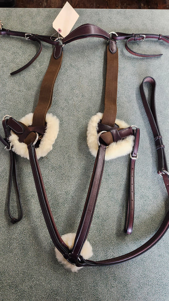 Full 5 Point Breastplate
