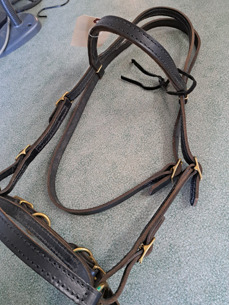 Western Bitless Bridle