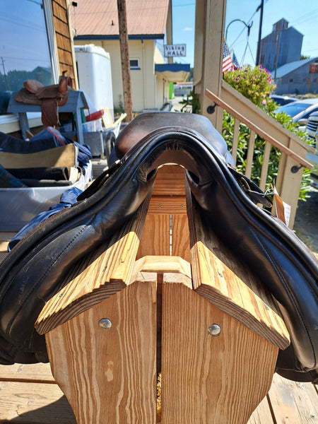17" Albion Lengend