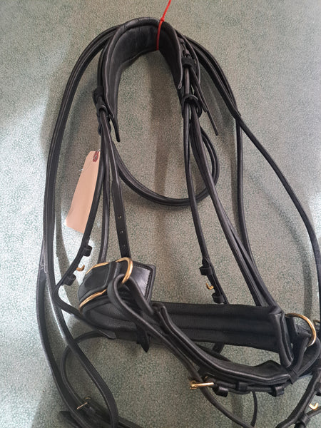 Dressage Bridle