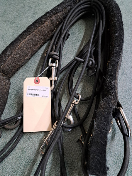 Bungee Lunging System