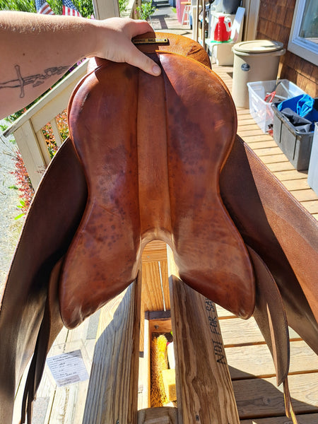 20.5" Blue Ribbon Cutback Saddleseat Saddle