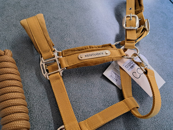 New Kentucky Equine Halter & Lead