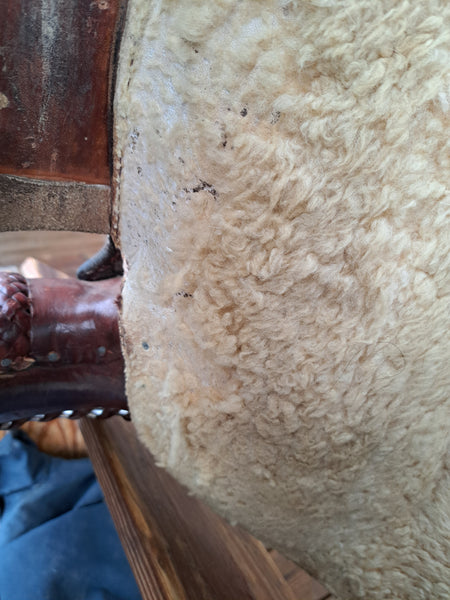 15" Billy Cook Western Equitation Show Saddle