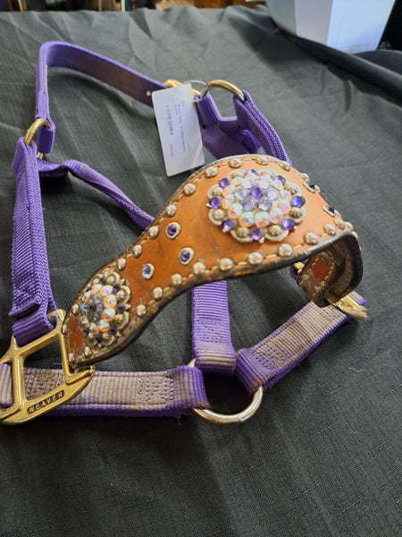 Bronc halter