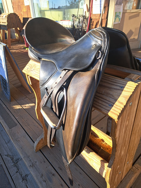 17" Kieffer Wien DL Dressage