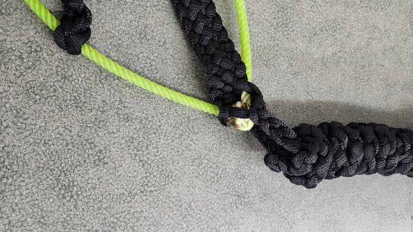Custom Halter W/ Lariat Noseband - Black