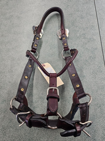 Kathy's Show Halter