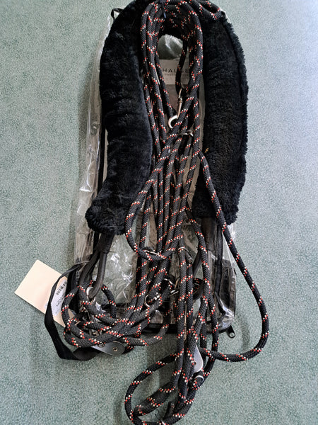 Waldhausen Lunging System