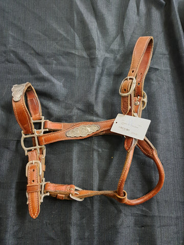 Champion turf show halter