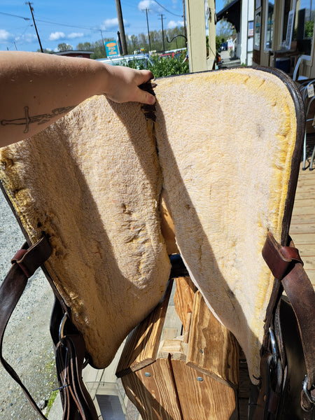 15" Circle Y Park & Trail Western Saddle