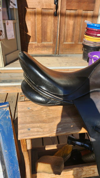 17" Ainsley pro National Dressage