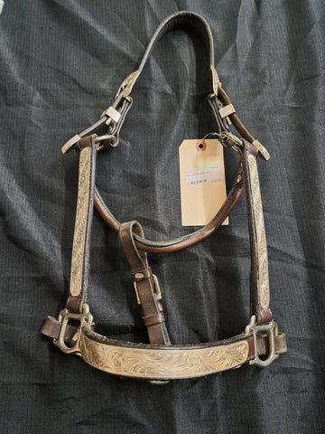 Tory show halter