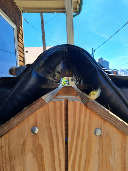 17.5" CHS by Schleese Arthur Kottas Dressage Saddle