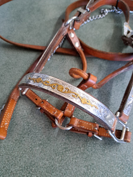 Weanling Broken Horn Show Halter