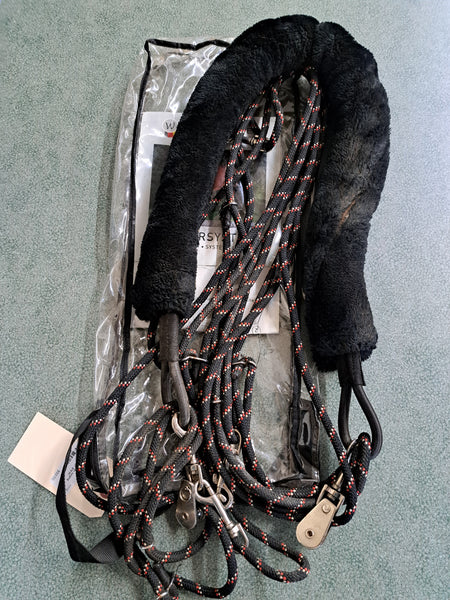 Waldhausen Lunging System