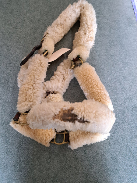 Warmblood Shipping Halter