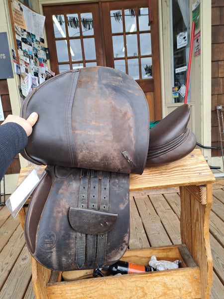 17.5" Collegiate All Purpose Saddle