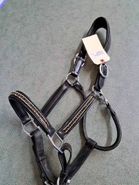 Joseph Sterling Halter with Crystals