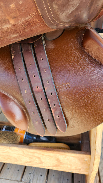 16.5" Collegiate Close Contact Jump Saddle